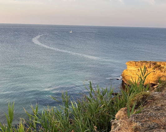 Blick auf den Atlantik in der Nähe von Lagos Portugal bei Sonnenaufgang. Man sieht grünes Gras, ein Stück Felsen unseine Spur im Wasser von einem Segelboot