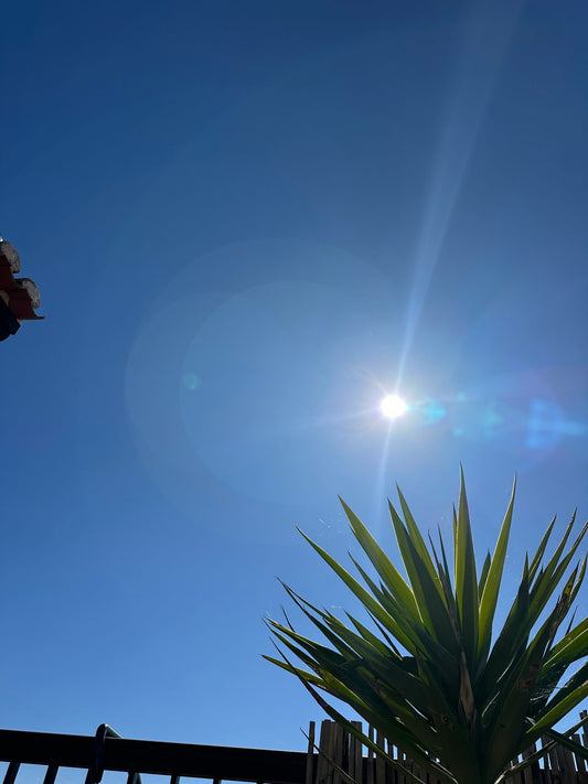 Nachhaltiger Sonnenschutz- Auf was muss ich wirklich achten?