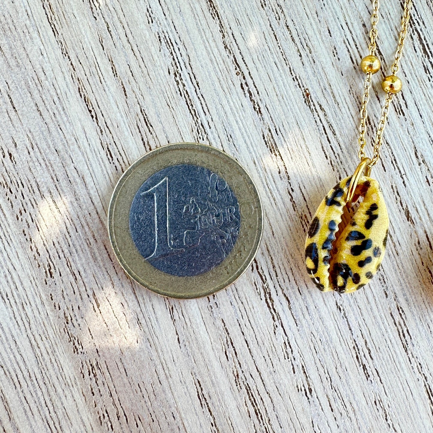 Leo-Kaurimuschel-Anhänger mit Größenvergleich neben 1-Euro-Münze auf Holztisch.