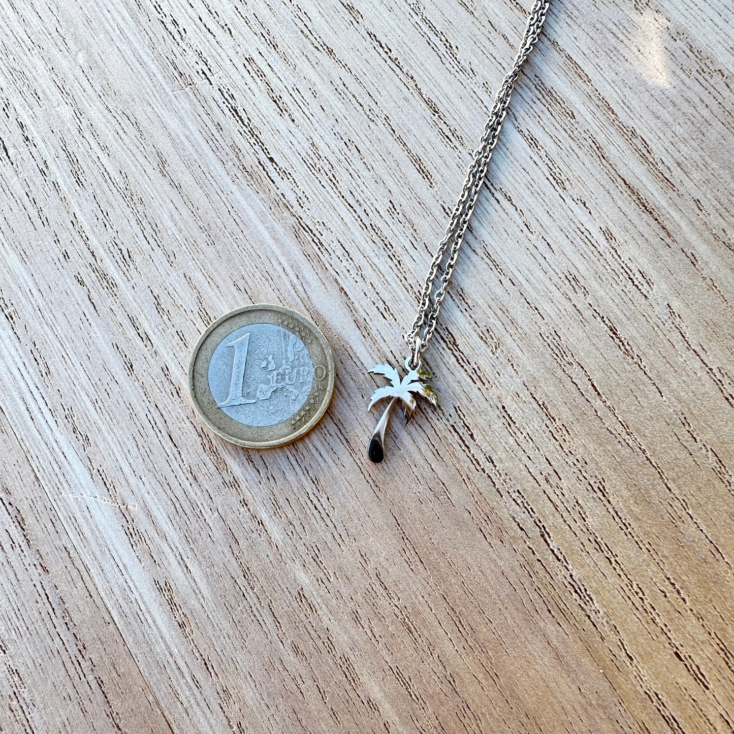 Größenvergleich der silbernen Palmenkette aus Edelstahl neben einer 1-Euro-Münze