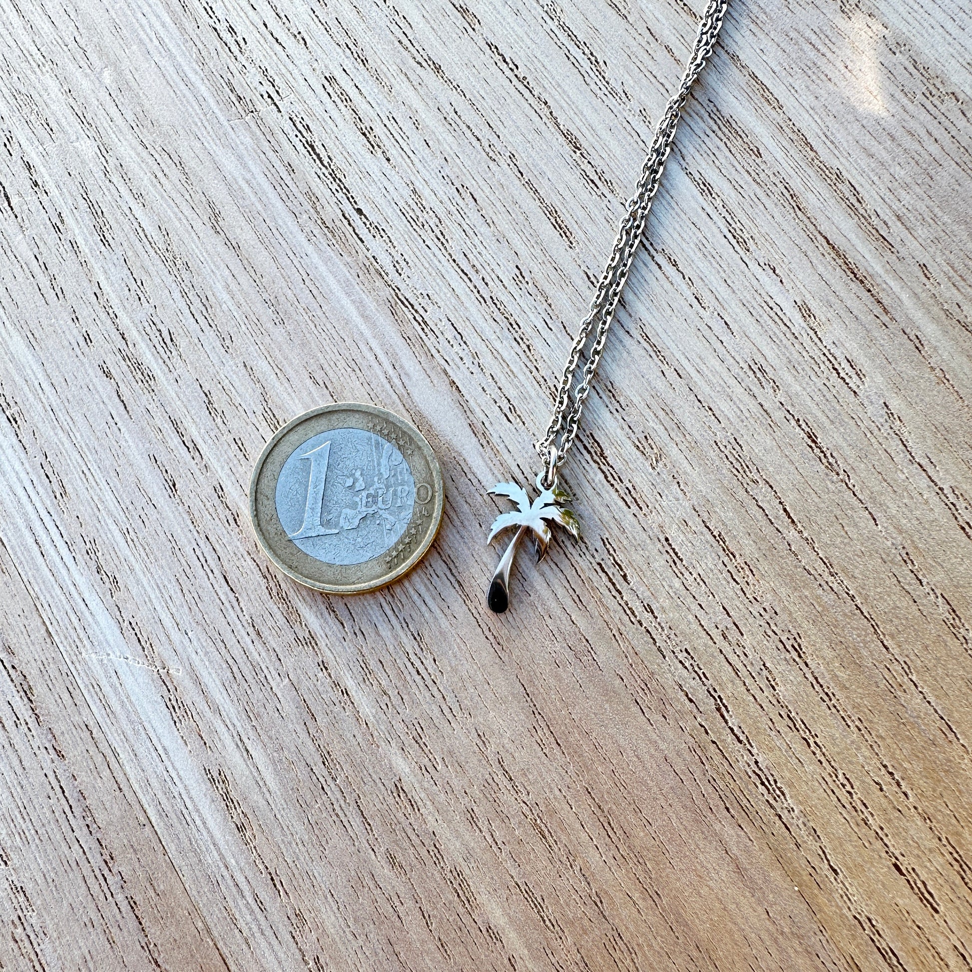 Größenvergleich der silbernen Palmenkette aus Edelstahl neben einer 1-Euro-Münze